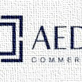 Aedes