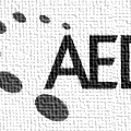 Aedes